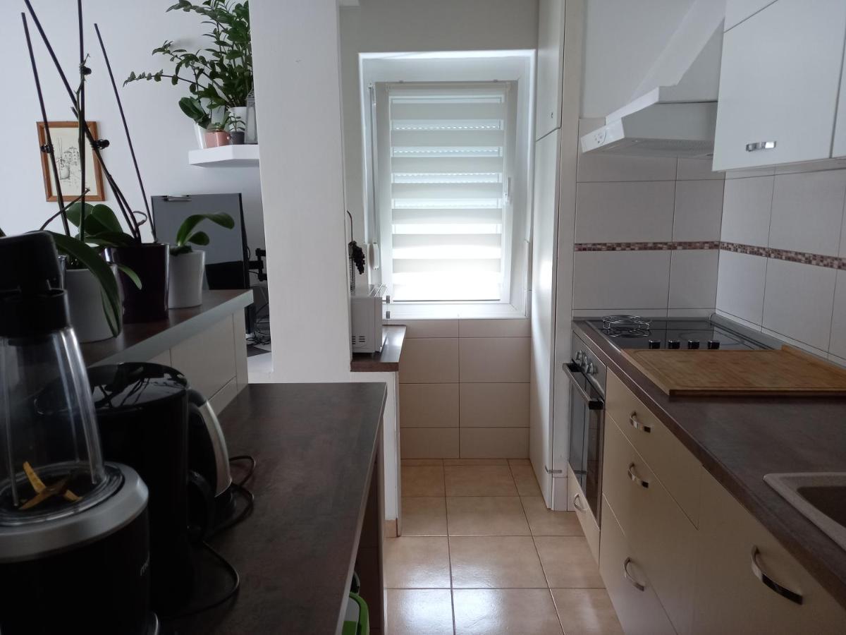 Apartments Anita ツリクヴェニツァ エクステリア 写真