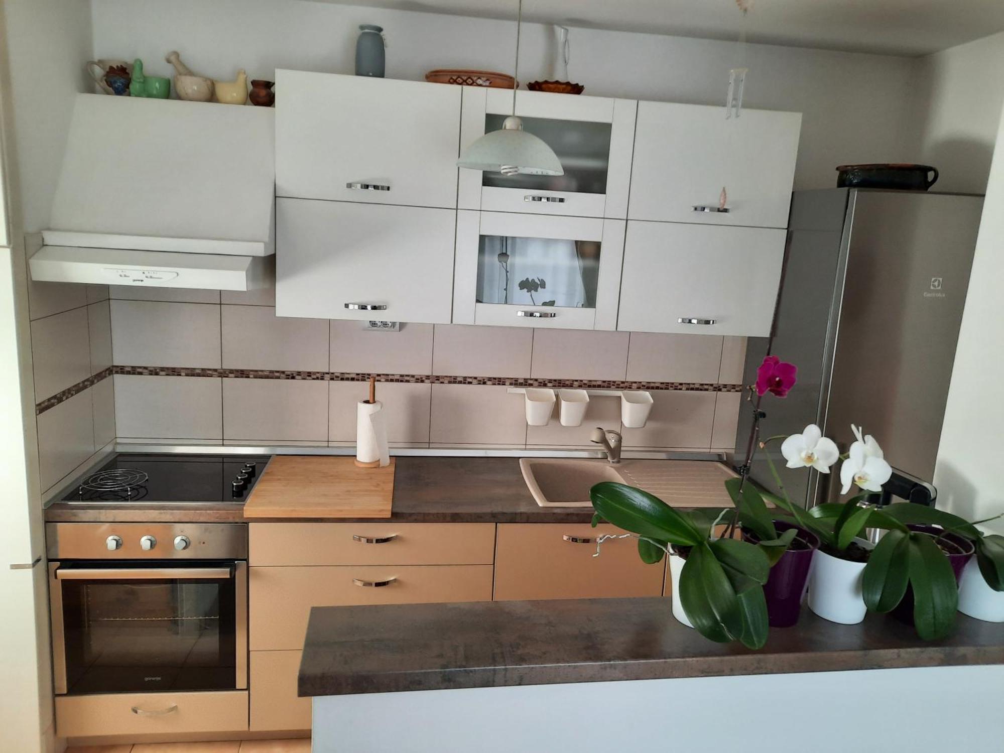 Apartments Anita ツリクヴェニツァ 部屋 写真