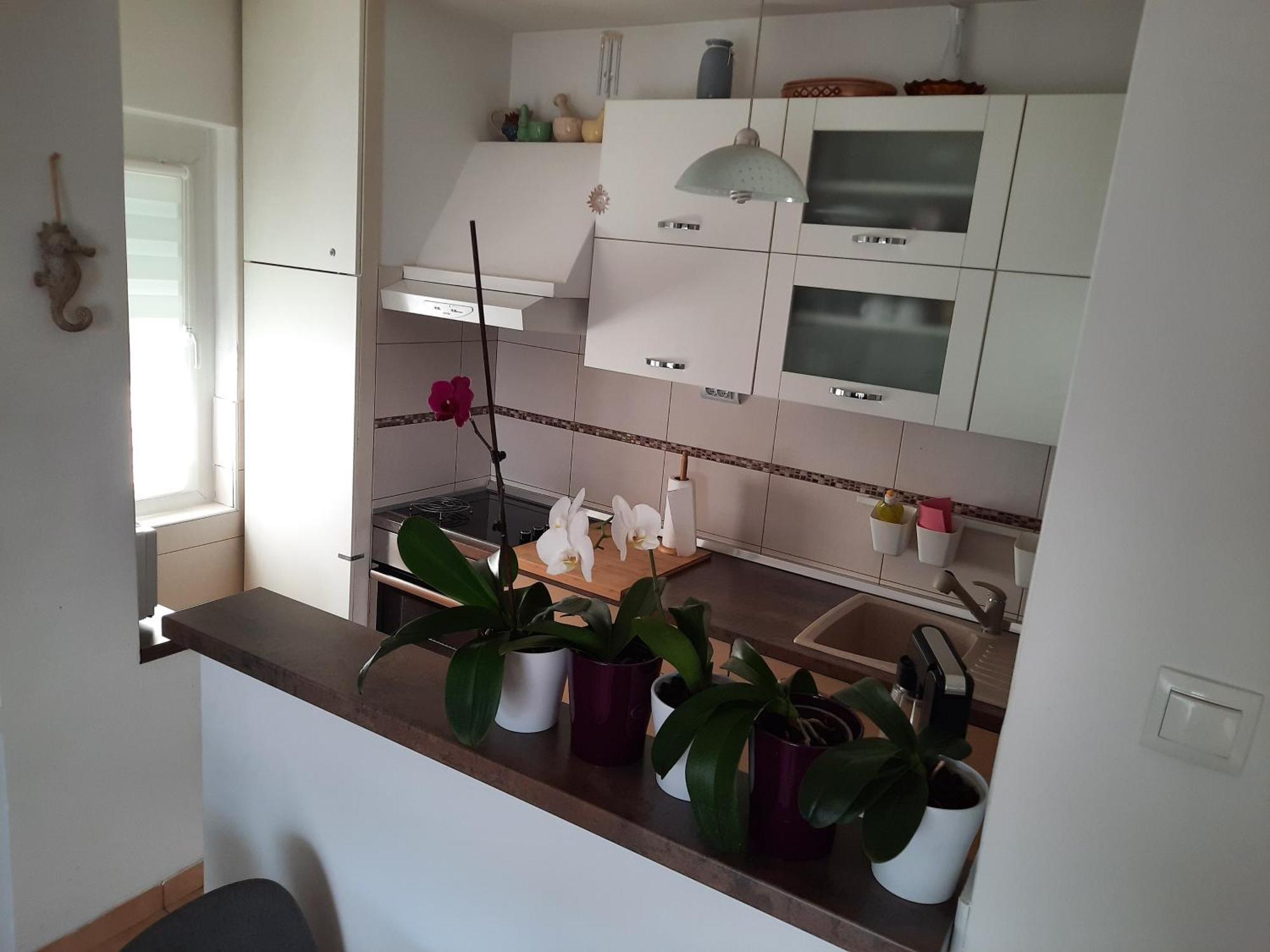 Apartments Anita ツリクヴェニツァ 部屋 写真